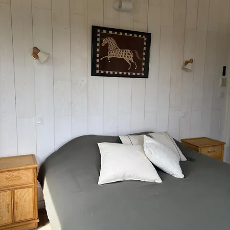 別荘 Charmante Maison Au Coeur D'un Haras *
